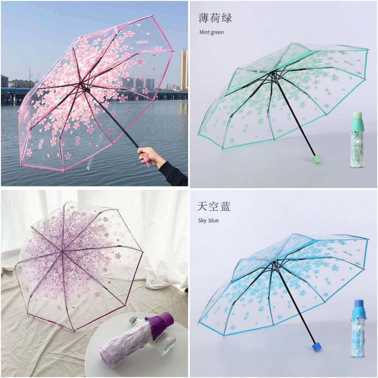 Fashionable Transparent Umbrella